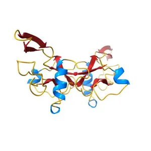HUMAN TRANSFORMING GROWTH FACTOR BETA 3, CRYSTALLIZED FROM PEG 4000