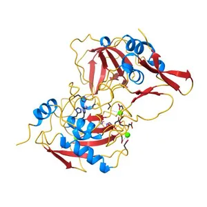 MMP-3/TIMP-1 COMPLEX