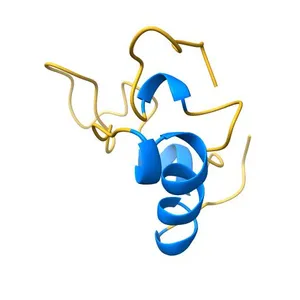 SOLUTION STRUCTURE OF HUMAN INSULIN-LIKE GROWTH FACTOR 1: A NUCLEAR MAGNETIC RESONANCE AND RESTRAINED MOLECULAR DYNAMICS STUDY