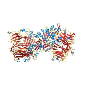 Crystal structure of human DPP-4