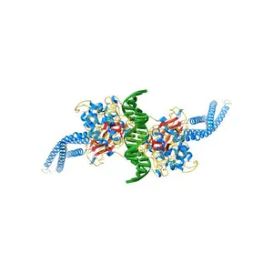TRANSCRIPTION FACTOR STAT3B/DNA COMPLEX