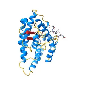 Crystal structure of HNF4a LBD in complex with the ligand and the coactivator PGC-1a fragment