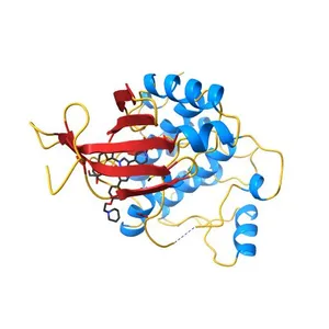 Human AMP-activated protein kinase alpha 2 subunit kinase domain (T172D) complexed with compound C