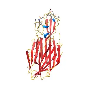 STRUCTURE OF THE PANTON-VALENTINE LEUCOCIDIN F COMPONENT FROM STAPHYLOCOCCUS AUREUS