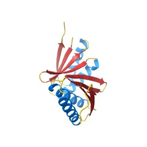Crystal Structure of a De Novo Designed Ferredoxin Fold, Northeast Structural Genomics Consortium (NESG) Target OR461