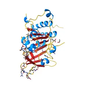 Crystal structure of a RAD51-BRCA2 BRC repeat complex