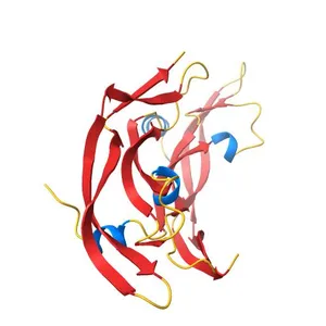 VASCULAR ENDOTHELIAL GROWTH FACTOR REFINED TO 1.93 ANGSTROMS RESOLUTION