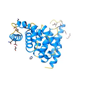 X-ray structure of Beta catenin in complex with Bcl9