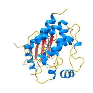 BRAF in complex with compound 3