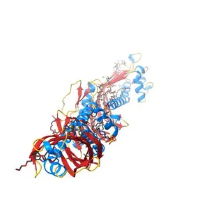 Crystal Structure of Cholesteryl Ester Transfer Protein