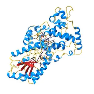 STRUCTURE OF PHOTOLYASE