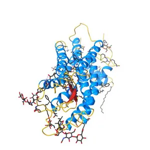 Crystal structure of bovine rhodopsin at 2.6 angstroms RESOLUTION