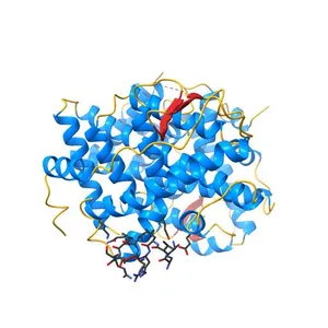 Human estrogen receptor alpha ligand-binding domain and a glucocorticoid receptor-interacting protein 1 NR box II peptide