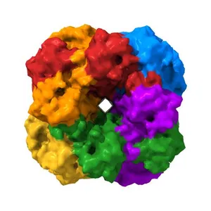 CRYSTAL STRUCTURE OF THE UNACTIVATED RIBULOSE 1, 5-BISPHOSPHATE CARBOXYLASE(SLASH)OXYGENASE COMPLEXED WITH A TRANSITION STATE ANALOG, 2-CARBOXY-D-ARABINITOL 1,5-BISPHOSPHATE