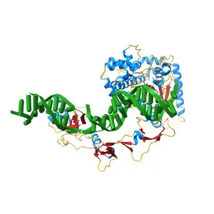 Crystal structure of Rad4-Rad23 bound to a UV-damaged DNA