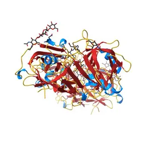 CRYSTAL STRUCTURES OF NATIVE AND INHIBITED FORMS OF HUMAN CATHEPSIN D: IMPLICATIONS FOR LYSOSOMAL TARGETING AND DRUG DESIGN