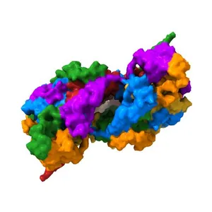 BOVINE HEART CYTOCHROME C OXIDASE IN CARBON MONOXIDE-BOUND STATE