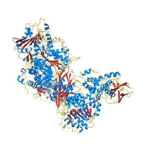 Crystal structure of human Brr2 in complex with the Prp8 Jab1/MPN domain
