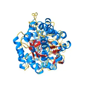 Cycles of destabilization and repair underlie evolutionary transitions in enzymes