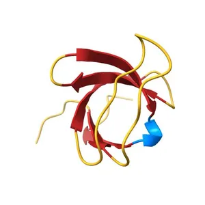 X-ray Crystal Structure of the Rat Endophilin A2 SH3 Domain