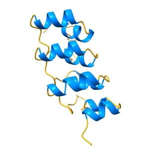 Crystal Structure of the BARD1 Ankyrin Repeat Domain and Its Functional Consequences