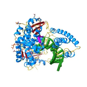 Binary complex of Bacillus DNA Polymerase I Large Fragment and duplex DNA with rC in primer terminus paired with dG of template