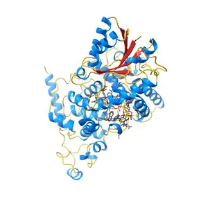 Crystal Structure of the PHR domain of Cryptochrome 1 from Arabidopsis thaliana with AMPPNP bound