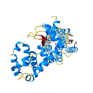 Crystal structure of the human beta2 adrenergic receptor in complex with the neutral antagonist alprenolol