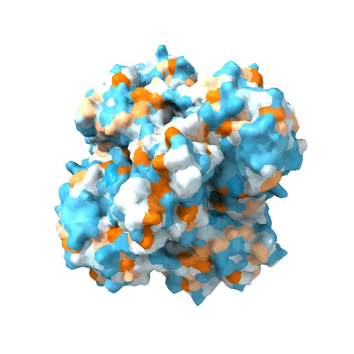 The structure of the catalytic and carbohydrate binding domain of endoglucanase D from Clostridium cellulovorans bound to cellotriose — Фото 2 из 13
