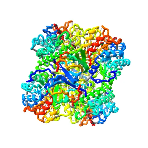 The structure of the catalytic and carbohydrate binding domain of endoglucanase D from Clostridium cellulovorans bound to cellotriose — Фото 3 из 13