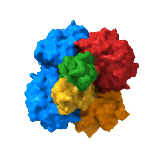 The structure of the catalytic and carbohydrate binding domain of endoglucanase D from Clostridium cellulovorans bound to cellotriose — Фото 4 из 13