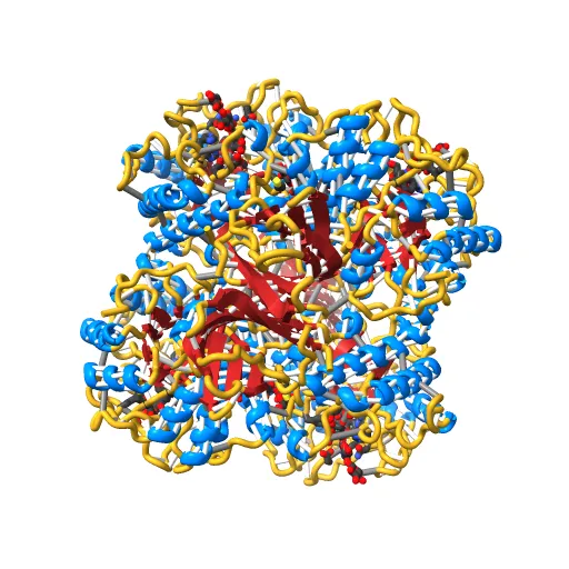 The structure of the catalytic and carbohydrate binding domain of endoglucanase D from Clostridium cellulovorans bound to cellotriose — Фото 5 из 13