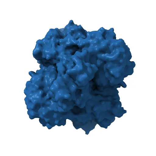 The structure of the catalytic and carbohydrate binding domain of endoglucanase D from Clostridium cellulovorans bound to cellotriose — Фото 6 из 13
