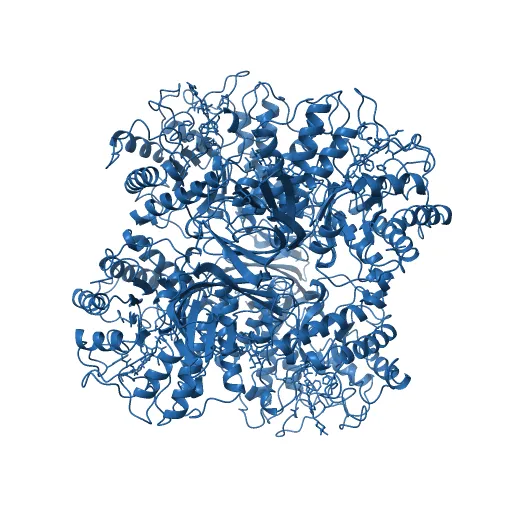 The structure of the catalytic and carbohydrate binding domain of endoglucanase D from Clostridium cellulovorans bound to cellotriose — Фото 7 из 13