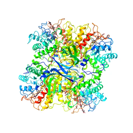 The structure of the catalytic and carbohydrate binding domain of endoglucanase D from Clostridium cellulovorans bound to cellotriose — Фото 8 из 13