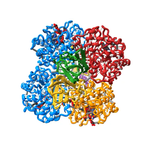 The structure of the catalytic and carbohydrate binding domain of endoglucanase D from Clostridium cellulovorans bound to cellotriose — Фото 9 из 13