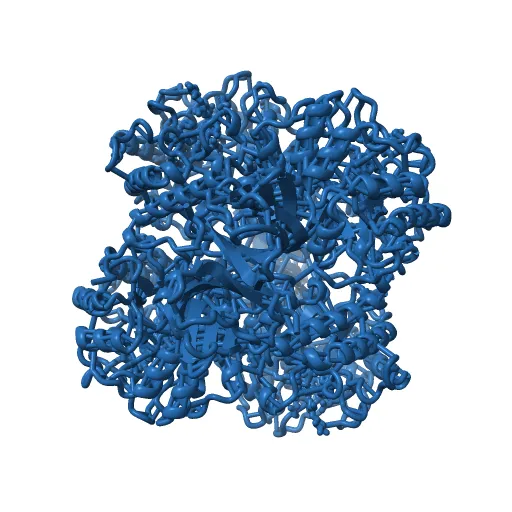 The structure of the catalytic and carbohydrate binding domain of endoglucanase D from Clostridium cellulovorans bound to cellotriose — Фото 10 из 13