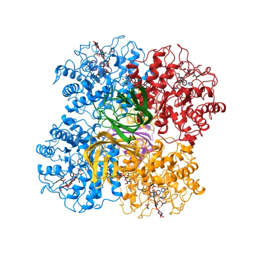 The structure of the catalytic and carbohydrate binding domain of endoglucanase D from Clostridium cellulovorans bound to cellotriose — Фото 12 из 13