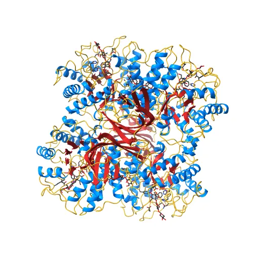 The structure of the catalytic and carbohydrate binding domain of endoglucanase D from Clostridium cellulovorans bound to cellotriose — Фото 13 из 13