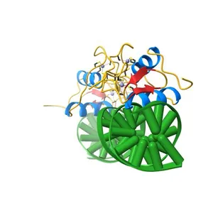AncMR DNA Binding Domain - (+)GRE Complex