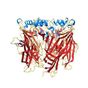Acetylcholine binding protein (AChBP) as template for hierarchical in silico screening procedures to identify structurally novel ligands for the nicotinic receptors