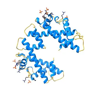 Crystal structure of (CENP-A/H4)2 heterotetramer