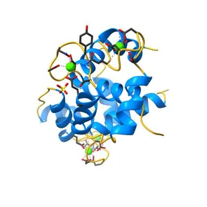 Crystal structure of endothelial nitric oxide synthase peptide bound to calmodulin