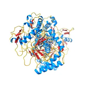 HUMAN ENDOTHELIAL NITRIC OXIDE SYNTHASE WITH ARGININE SUBSTRATE