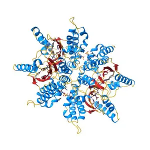 Haemophilus influenzae beta-carbonic anhydrase complexed with bicarbonate