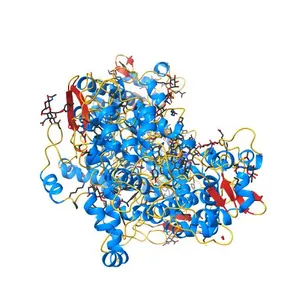 The structure of Ibuprofen bound to cyclooxygenase-2
