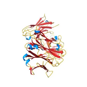 High-resolution structure of blue fluorescent antibody EP2-19G2