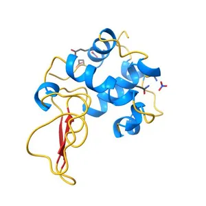 HUMAN LYSOZYME MUTANT WITH GLU 35 REPLACED BY ALA