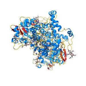 X-ray crystal structure of alpha-linolenic acid bound to the cyclooxygenase channel of cyclooxygenase-2