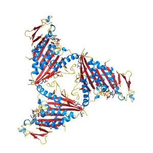 Crystal structure of the human KIF9 motor domain in complex with ADP